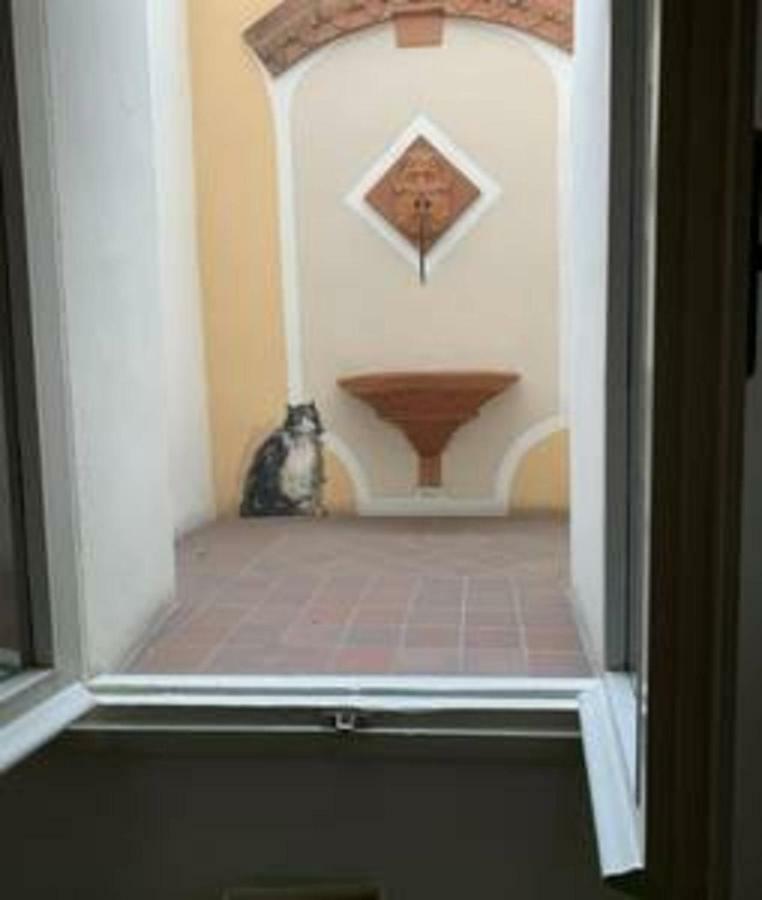 Whouse Suite Porta Di Castello ボローニャ エクステリア 写真